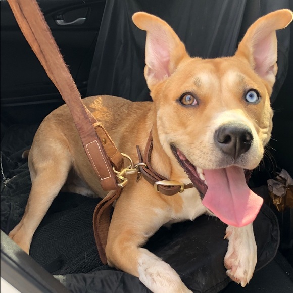 Hi there! - Picture 2 of 4